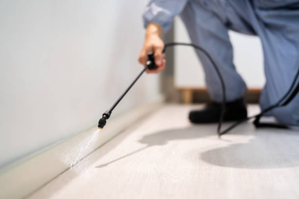 Certified termite inspector examining foundation in La Marque